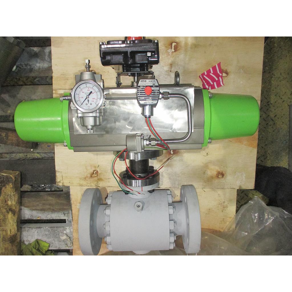 SO100491; Star Energy; SDV; 2006BVT-SY2016; 3&quot; 600#RF FB; A105; 316SST; RPTFE; SA-140