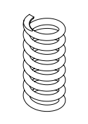 BAP R-SERIES; Valve Plug Spring 