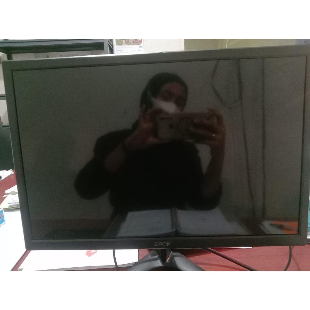 SPC Monitor, Model SM 19HD