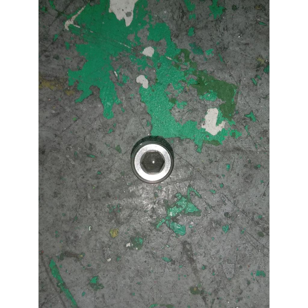 Plug L 1/4 NPT 
