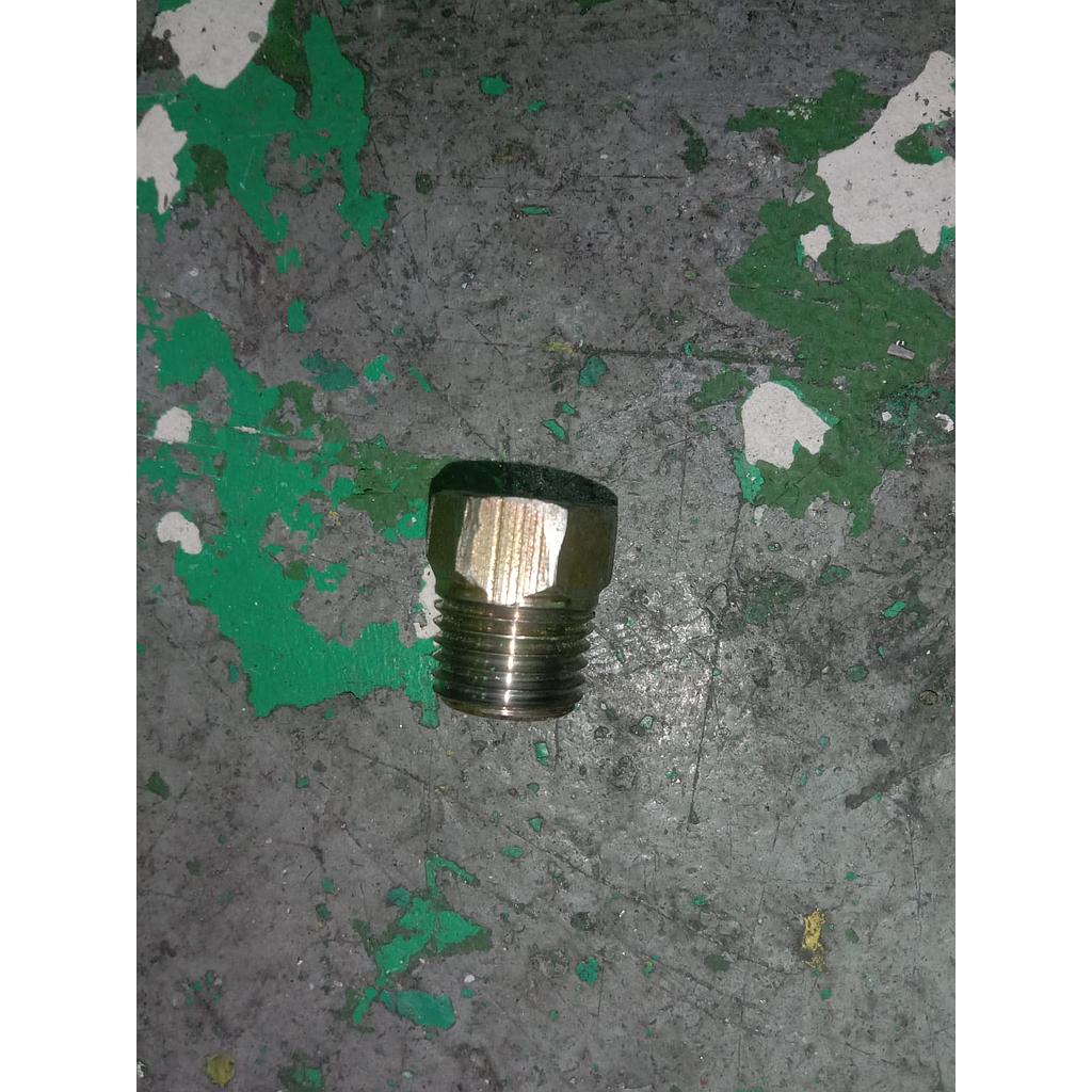 Plug Exagon 1/4 NPT 