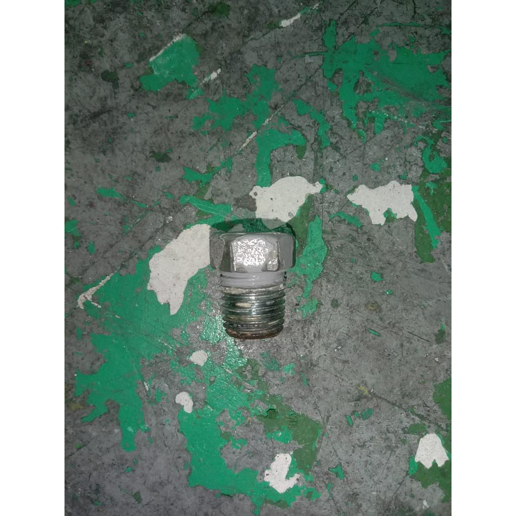 Plug Exagon 1/4 NPT 