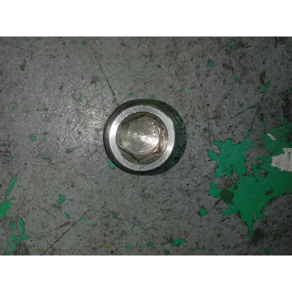 Plug L 3/4 NPT 