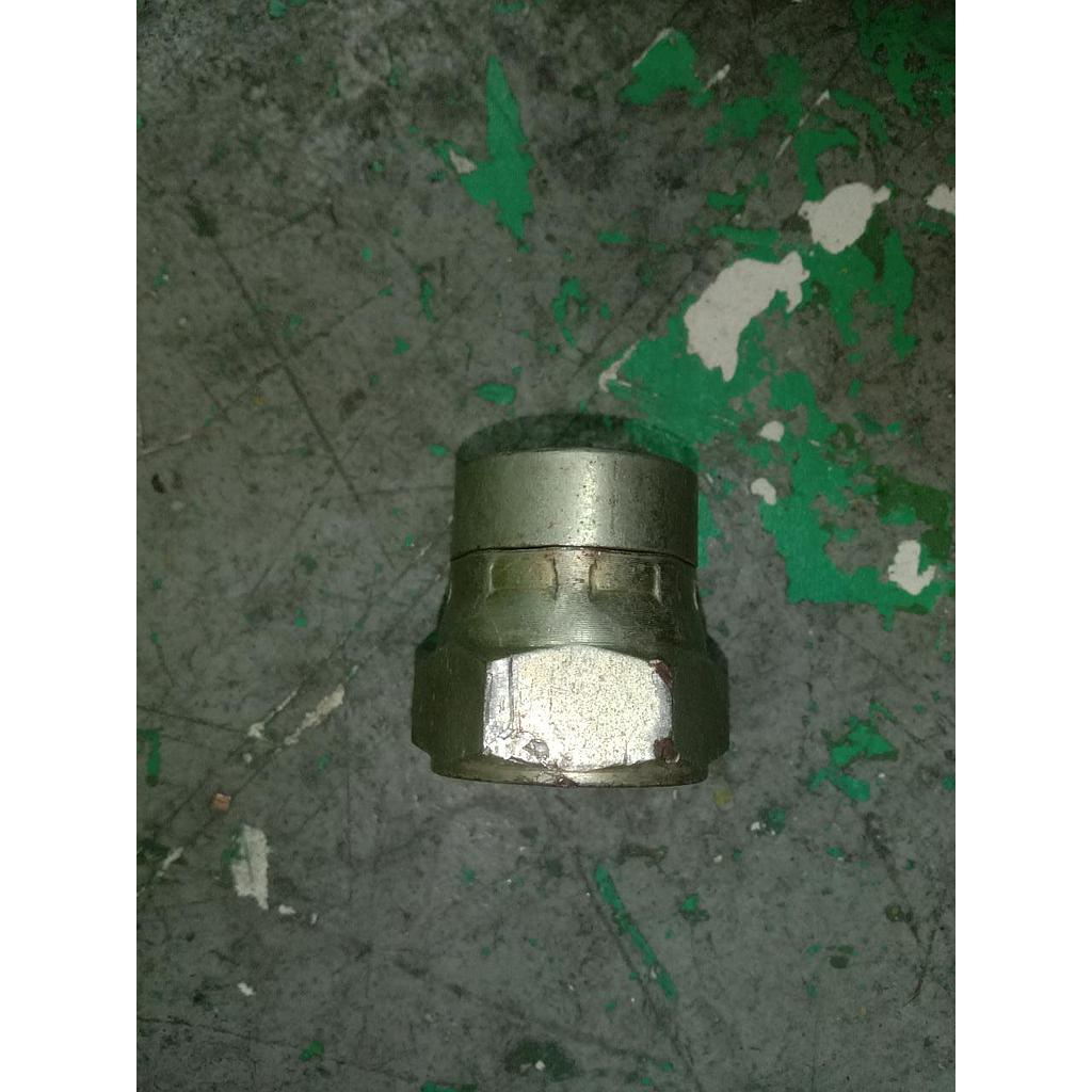 Plug 1&quot; Female 
