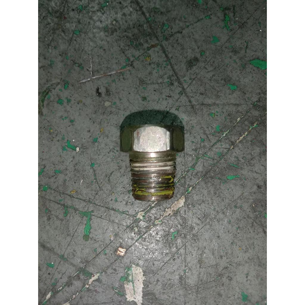 Plug Exagon 1/4 NPT Male 