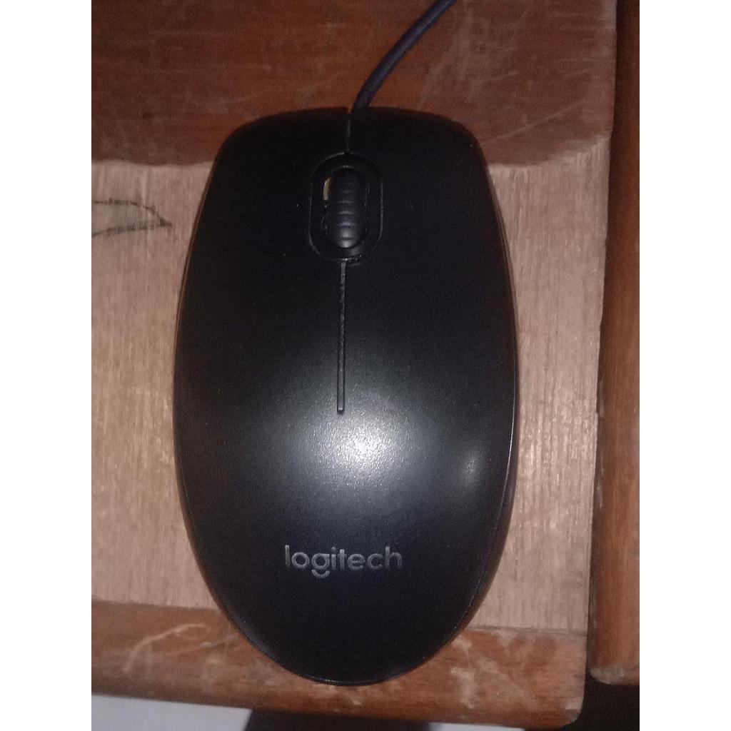 Mouse Logitech B100